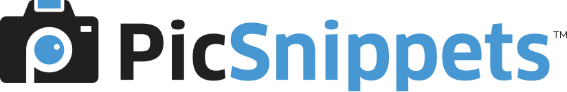 picsnippets trools the pros use - pic snippets - daniel bussius