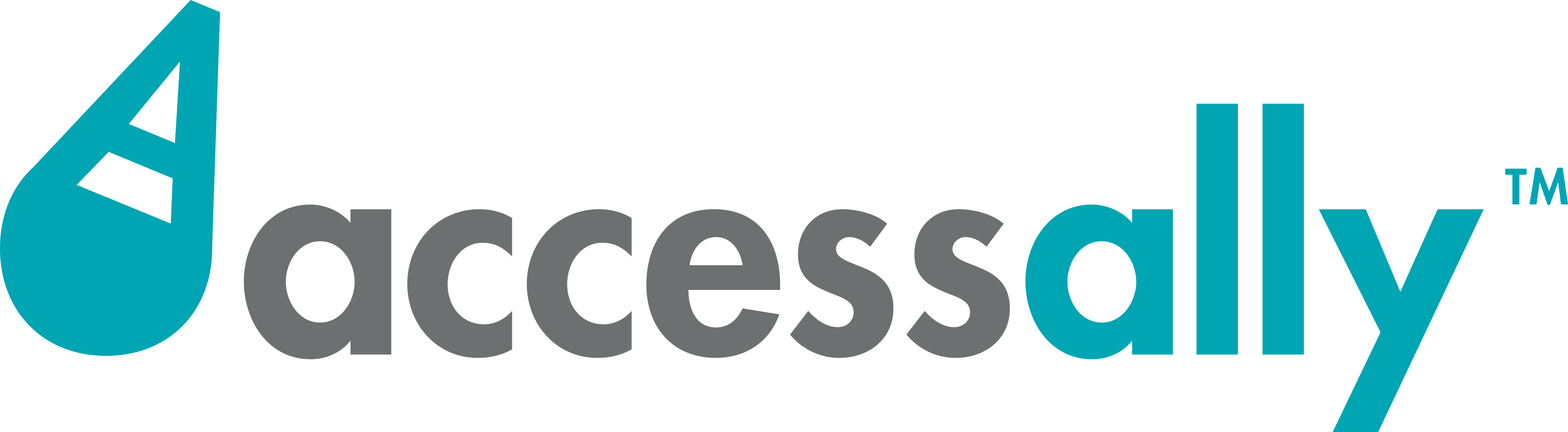 accessally AccessAlly - ultimate guide for tools the pros use