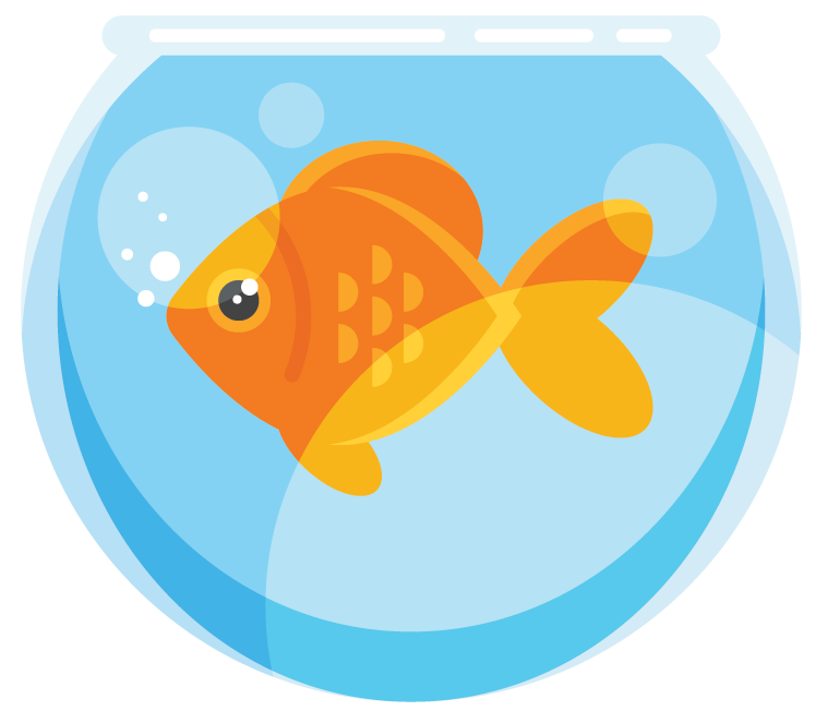 goldfish-daniel bussius