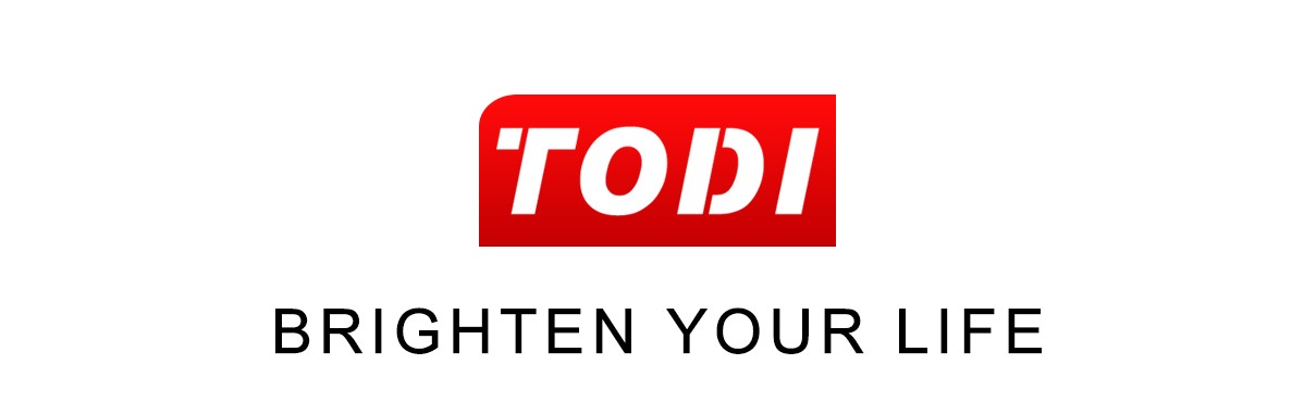 Todi Ring Light Logo Todi ring light logo a recommended video tool listed in Tools the PRos used guide for 2021 by Daniel bussius